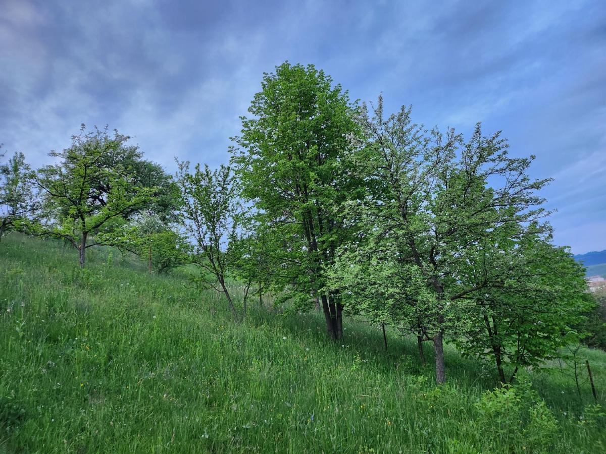 Casa Din Livada - Cazare Magherus Topliţa Exterior foto