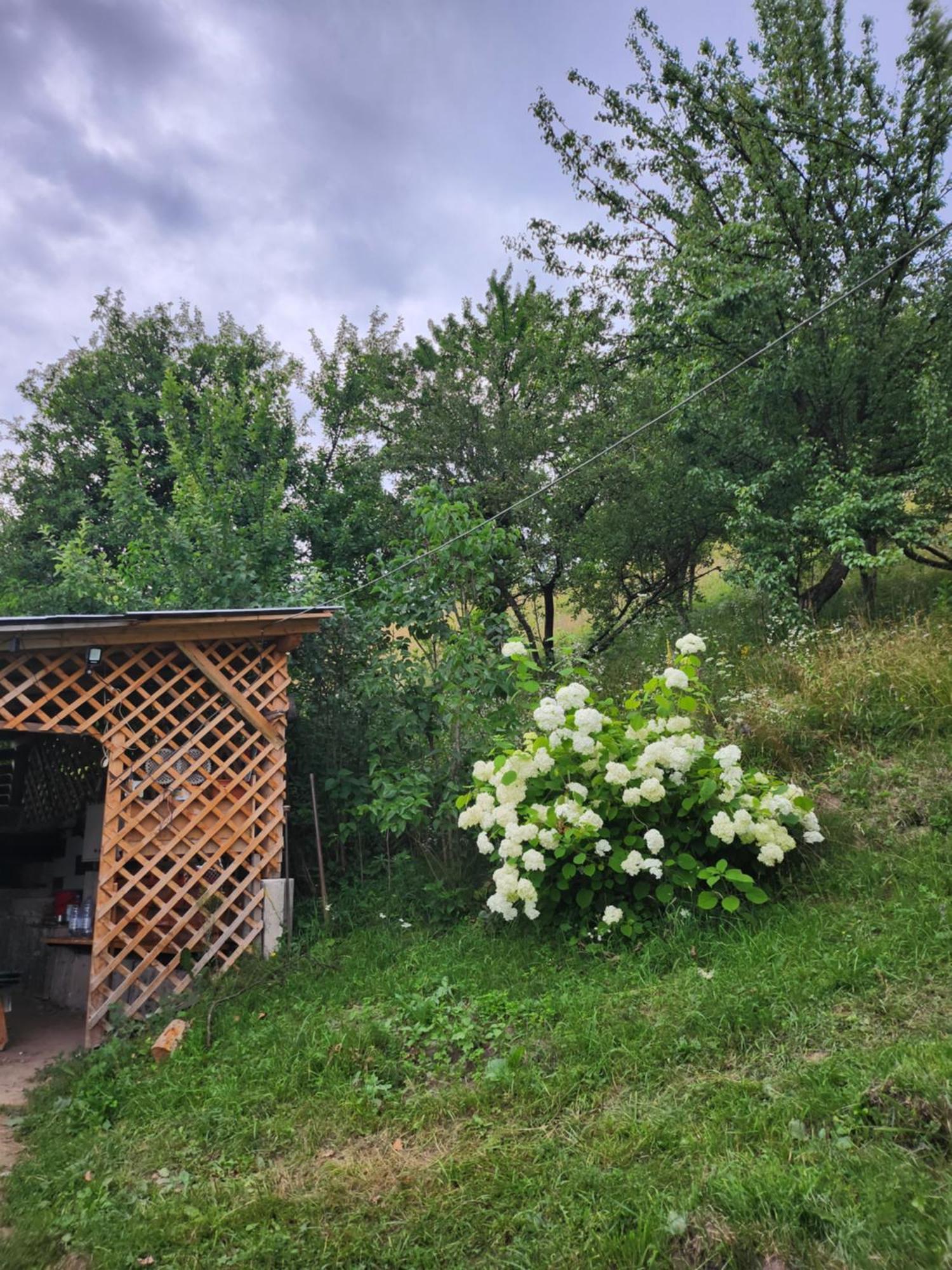 Casa Din Livada - Cazare Magherus Topliţa Exterior foto